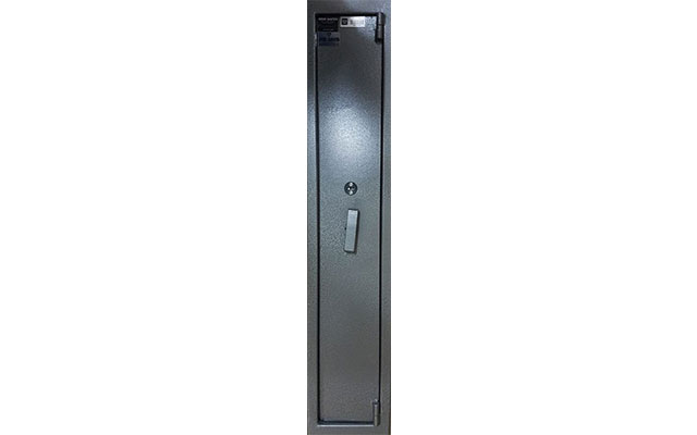 aegis